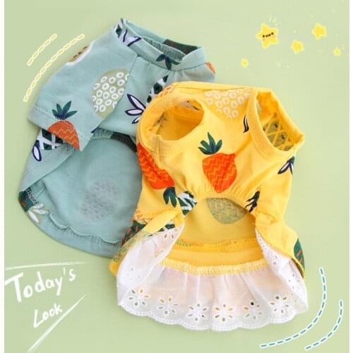 Pineapple couple dressed as dogs summer thin pet pups cat Teddy Bomebi bear dress small dog shirt dogs for dogs