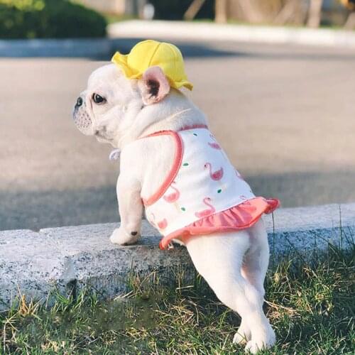 Classic Dog Hat French Bulldog Accessories for Small Dogs Cat Hat Solid Yellow Pet Hats Fishermans Hats for Dogs Puppy Dog Cap