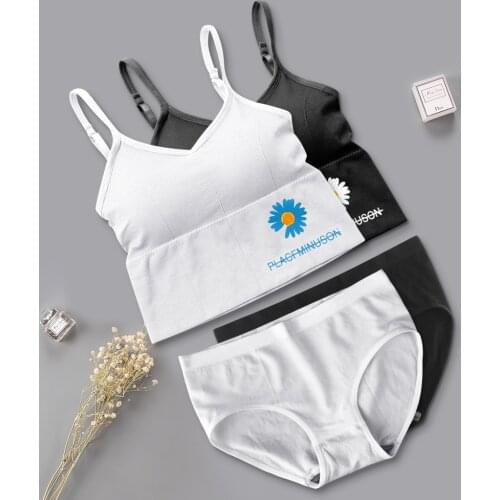 Perfering Seamless Bra Set For Women Underwear Push Up Lingerie Set Wire Free Bra And Panty Set Intimates Female