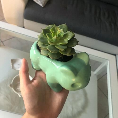 3pcs/lot cartoon animal owl ceramic flower pot home gardening mini flower pot cartoon animal flower pot plant table potted vase