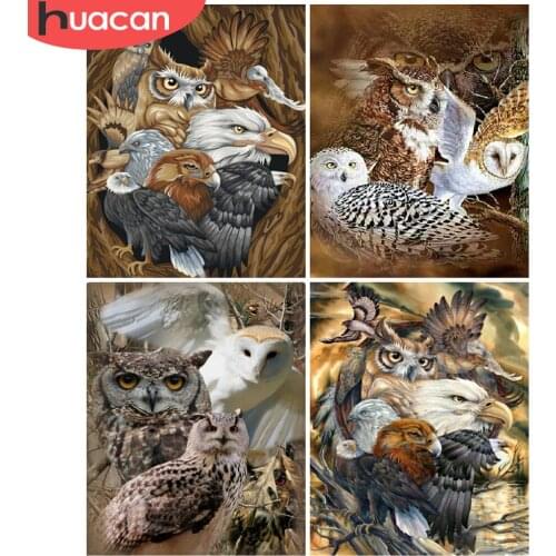 HUACAN Painting By Numbers Owl Animal On Canvas DIY Frame Wall Art Acrylic Picture By Numbers Forest For Living Room