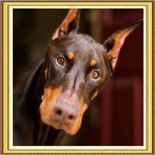 Diy CUBE DRILL full Diamond Painting cross stitch Flame dog diamond mosaic embroidery need work canvas Home Decoration