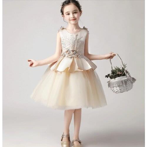 Champagne Tulle Princess Dress for Girl First Birthday Gorgeous Lace Ball Gown Pageant Girl Dresses for Wedding Party Costumes