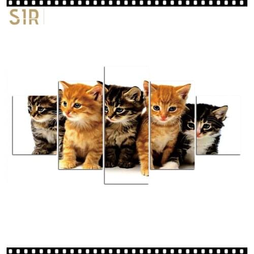 HD 5 Pieces Pet Cat Animal Pictures Posters Wall Art Home Decor for Living Room Painting on The Wall Cat Pet Pictures Wall Art