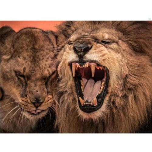 Full square diamond painting lions animals embroidery mosaic diamond dotz 5d rhinestone picture puzzle toy drawing wall decor