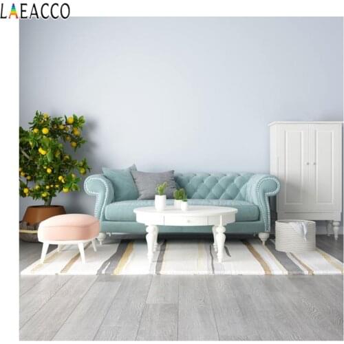 Laeacco Photographic Backdrop Interior Modern Room Sofa Greenery Portrait Customize For Photography Backgrounds For Photo Studio