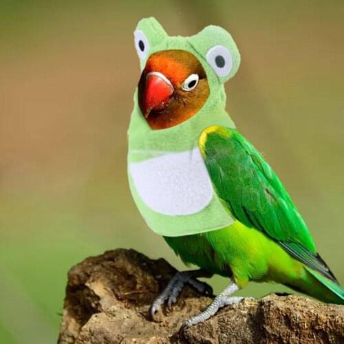 Cute Bird Clothes Parrot Frog Hoodie Costume Winter Coat Warm Hooded Clothes Apparel Funny for Parakeets Birds Party Costumes