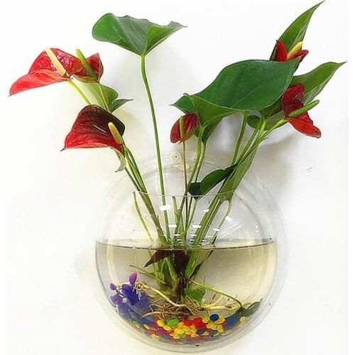 80% Hot Sale Wall Mounted Fish Tank Fish Tank Clear Wall Mounted Acrylic Creative Flower Pot for Home