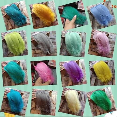 20pcs Natural 12-20cm long Goose Feathers 16 Color Loose Goose feathers Christmas decoration clothing shoes hat accessories