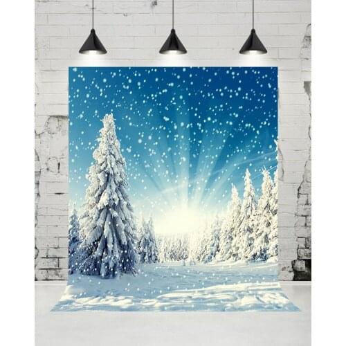 VinylBDS Backdrop Snow Backgrounds For Photo Studio Winter Backdrop Photography For Children Christmas Background