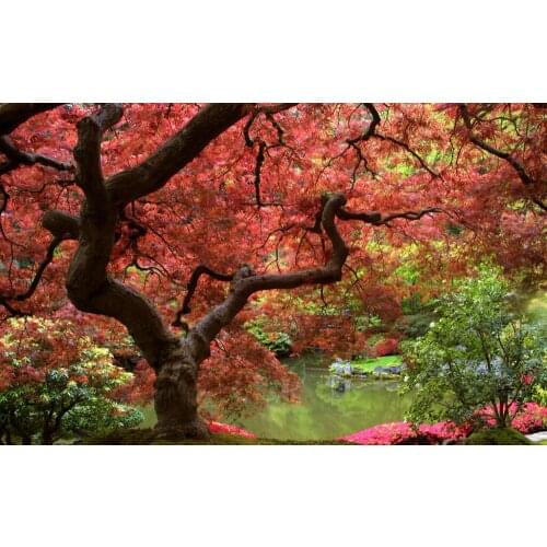 Autumn Tree Art Film Print Silk Poster Home Wall Decor 24x36inch