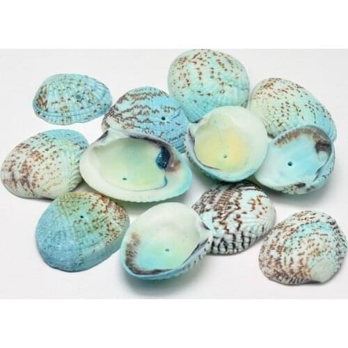 500g Dyed Shell Beads Handmade Craft Jewelry Beads for DIY Making 32~37x20~29x8~10mm