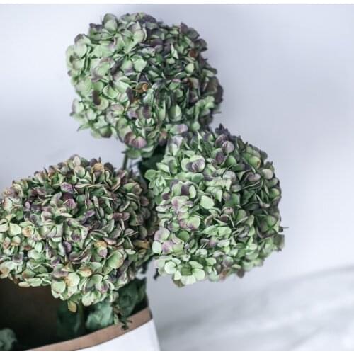 2 pcs Natural Fresh Preserved Flowers Dried Hydrangea Flower Head For DIY Real Eternal Life Flowers Material NO Vase