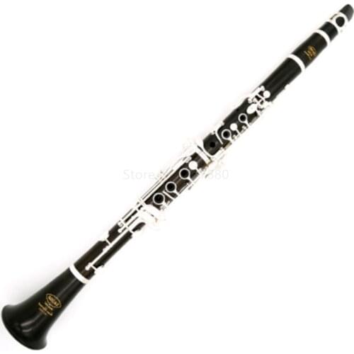 SADSN SCL-100S 17 Keys Bb Tune Clarinet Bakelite Body Silver Button B Flat Clarinet Beginner Musical Instrument with Case