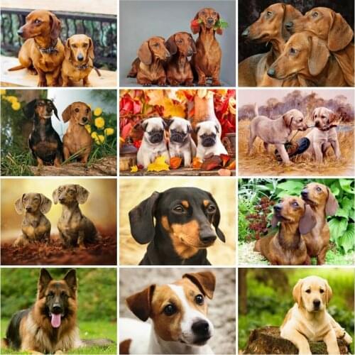 AZQSD Full Round Drill Diamond Painting Dog Picture Of Rhinestones Needlework Diamond Embroidery Animals Mosaic Home Decor