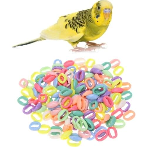 100Pcs/Pack Colorful Parrot Foot Toys C Chain Links Bird Stand Chain Bite Chew Play Toy Bird DIY Clips Hooks Handcraft Kit