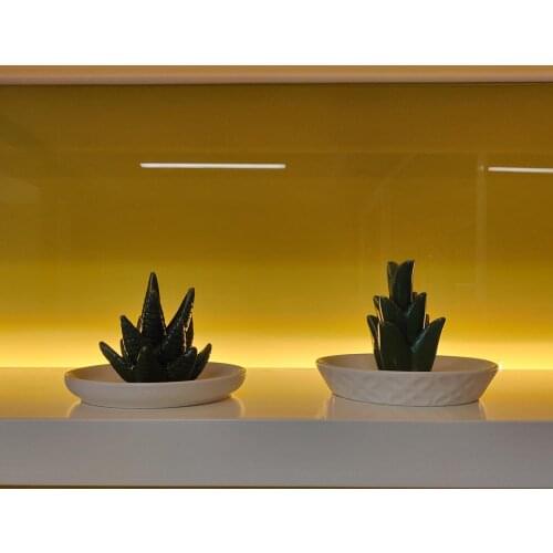 Ceramic Aloe Jewelry Holder Bracelets Organizer Home Decor Birthday Gift