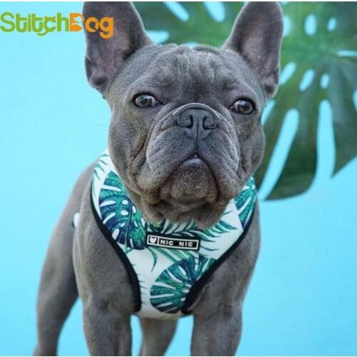 Stitchdog Harnesses