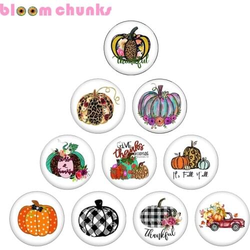 Thanksgiving pumpkin 12mm/18mm glass snap button Round photo glass cabochon jewelry flat back Making findings C1318