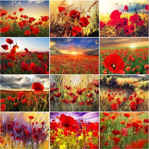 AZQSD DIY Painting By Numbers Tulip Home Decor Drawing On Canvas Paint By Numbers Flower Handicraft Handmade Gift