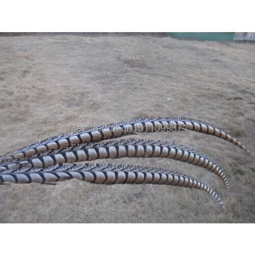 Wholesale natural pheasant tail feathers 50pcs 100-105 cm / 40-42 inches Free shipping