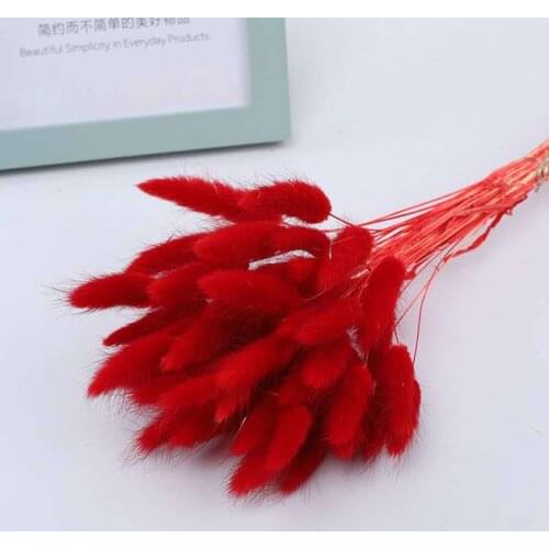 20Pcs/LOTRabbit Tail Grass Wedding Party Decoration Wheat Ears Fluffy Feather Reed Dried Flowers Plants Natural Home Decor