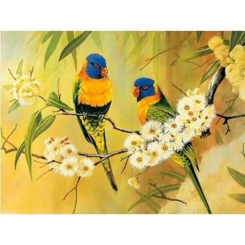 Diamond embroidery birds 3d painting diamond embroidery parrot
