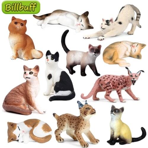 2020 Simulation Animal DIY Family Pet Cat Model Action Figures Collection Miniature Cognition Educational Toys for children Gift
