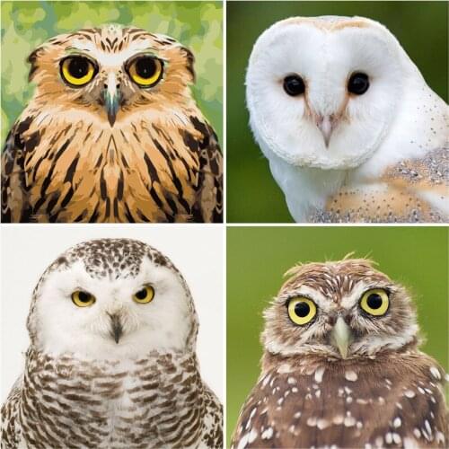 5D Diamond Painting Owl Full Square/Round Resin Mosaic Embroidery Animals Picture Rhinestones Cross Stitch Home Decor Art Gift