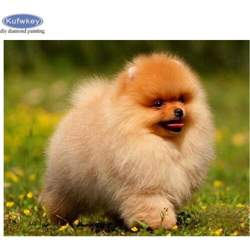 DIY Diamond Painting Pomeranian Dog Full Square Round Drill Rhinestone 5d cross stitch kits handmade embroidery Crafts gift