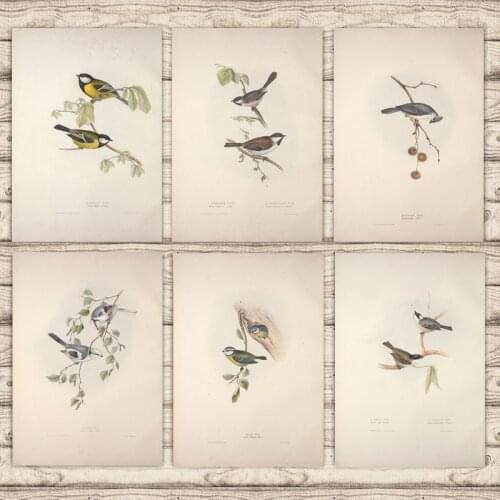 Pictures for Home Design Vintage Poster Retro Wall Art Living Room Decoration Minimalist Animal Birds Canvas Printing Noframe