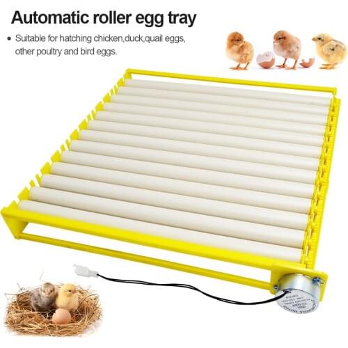 156 Bird Egg Incubator Roller Egg Tray 13 Tubes Automatic Turning Roller 22V110V12V