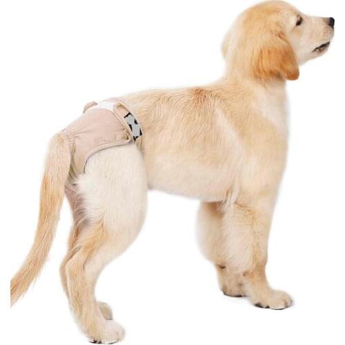 3 Color Female Dog Puppy Diapers Reusable Breathable Pet Dog Physiological Menstrual Hygiene Sanitary Pet Underwear For Girl Dog