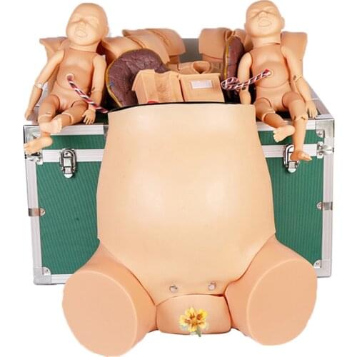 Chinon Female Childbirth Demonstration Model Midwifery Delivery Birth Simulation Human Body Medical Science Student Training