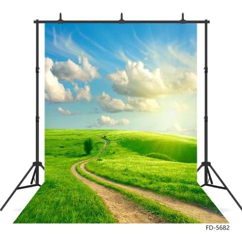 Prairie Sunshine Pathway Photography Backdrop Customized Background Photo Studio for Baby Children Portrait Scenery Photocall