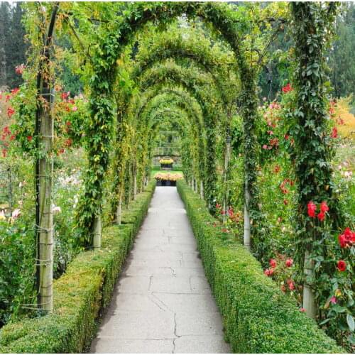 Green garden vinyl backdrops for photography wedding/engagement photographic background for studio props fotografia photo props