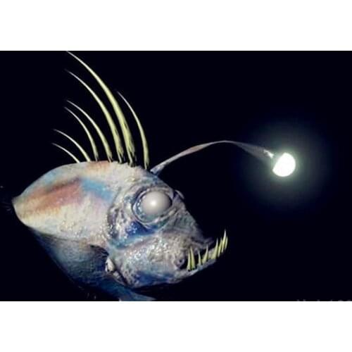 Original SHIMANO OCEA JIGGER 2000NRPG Saltwater Fishing Reel Fishing Tools Saltwater Bait Casting Reel