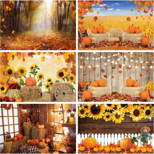 Autumn Forest Fallen Leaves Nature Scene Baby Portrait Backdrop Photography Photographic Background For Photo Studio Photophone