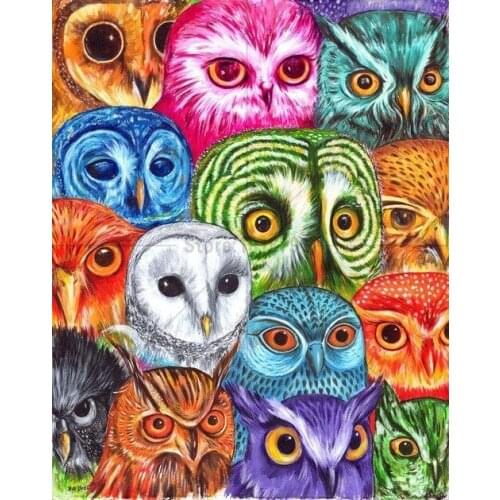 5d diamond embroidery picture diamond painting Color Owl mosaic cross stitch Diamond mosaic Home Decoration Needlework