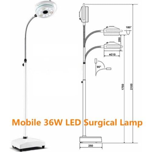 36W Medical Surgery Lamp LED Shadowless Light Operation Room Oral Implant Surgery Examination Lamp Pet Clinic(90V-240V)