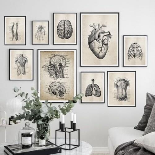 Anatomy Skeleton Patent Vintage Posters and Prints Medical Wall Art Print Pictures Home Decor Retro poster kraft paper