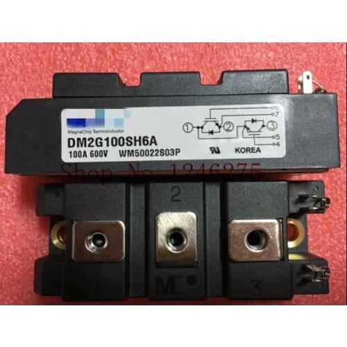 DM2G100SH6A Free Shipping