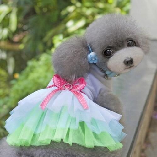 A Sweet Dog Dresses For Small Dogs Lace Tutu Dress Puppy Dress Trendy Bowknot Dog Princess Dress Cute Pet Supplies