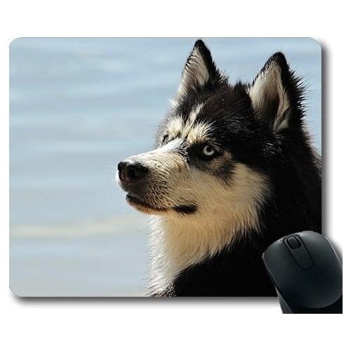 Golden retriever puppy dog,Husky Dog Dog Breed Animal Sled Dog Snow Dog02,dogs mouse mat