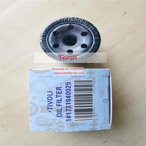 1731840025，oil filter