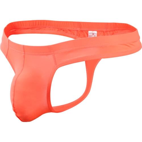 Men Thongs and G Strings Sexy Gay Mens Underwear Smooth Ice Silk Briefs Mens See Through T Back Thong Tanga Panties