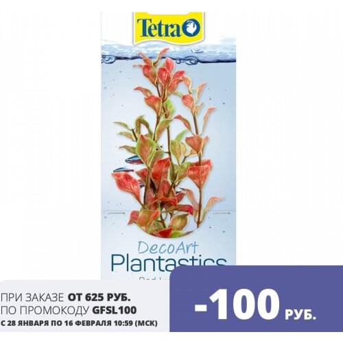 Tetra Decorations For Aquariums