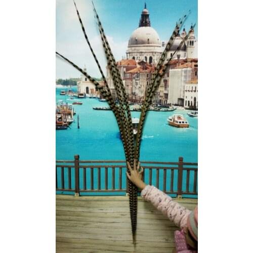 Wholesale perfect 10pcs Rare natural Reevess Pheasant feathers 64-68inch/160-170cm Decorative diy