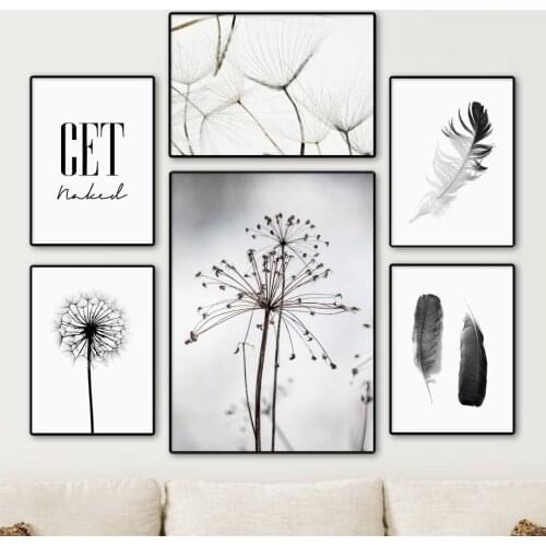 Black White Feather Dandelion Withered Flower Canvas Painting Nordic Posters Prints Wall Art Pictures For Living Room Home Decor