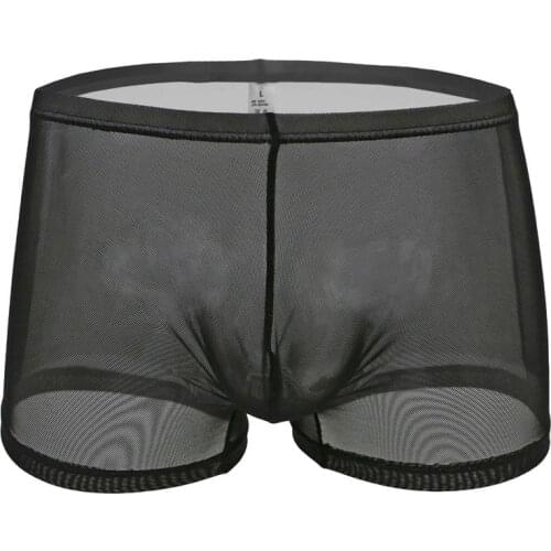Sexy Men Plus Size Mesh See Through Boxer Transparent Breathable U Convex Pouch Boxer Underwear Gay Wear Low Rise G-string F7